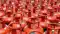 LPG Cylinder Price Cut Patna Gets New Rates 192 Drop