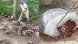 इचुआ शराब छापेमारी पर उत्पाद विभाग की सफाई: ड्रोन से हुई कार्रवाई, मुंद्रिका माझी की मौत से संबंध के दावे को बताया भ्रामक