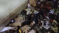 Fire Breaks Out at Munger Civil Court Firefighters Rush In