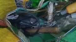 Munger Gun Syndicate Exposed 