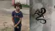Bihar News : बेटी के गर्दन में लिपटे थे दो-दो विषधर सांप, पिता ने दांत से दबा कर मार डाला , बचा ली बेटी की जान