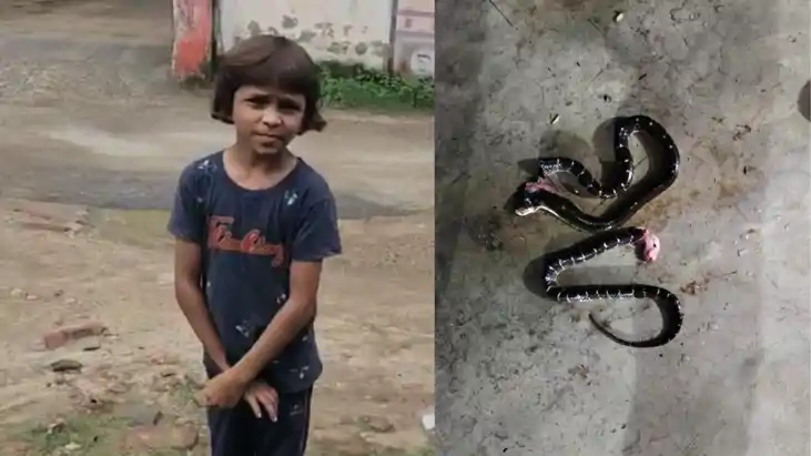 Bihar News : बेटी के गर्दन में लिपटे थे दो-दो विषधर सांप, पि