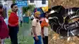 Snake bite - बारिश शुरू होते ही बढ़ गए सर्पदंश के मामले, चार दिन दो बच्चियों सहित पांच की मौत