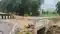 Bihar culvert collapsed - एक बारिश भी पार नहीं कर पाई दो महीने पहले बना आरसीसी पुलिया, सड़क का एक हिस्सा भी बह गया, ठेकेदार ने कर दिया खेला