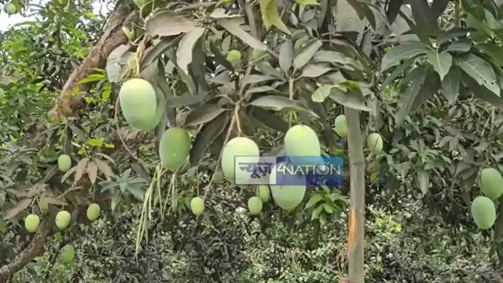 Impact of India Bangladesh tension Impact of India Bangladesh tension