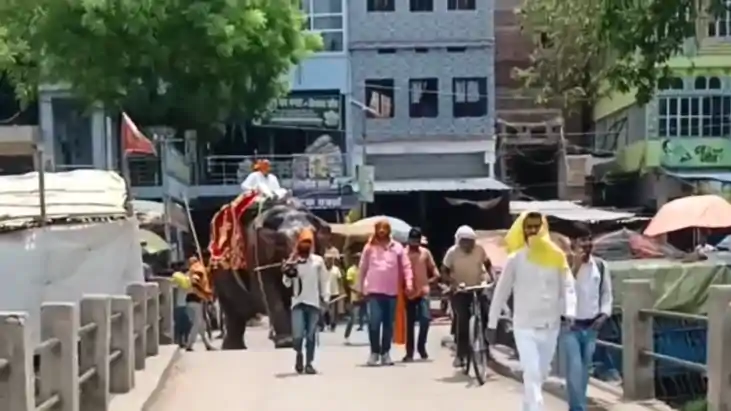Bihar Political News : रोहतास में कांग्रेस विधायक ने की हाथी Bihar Political News : रोहतास में कांग्रेस विधायक ने की हाथी