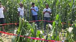 Katihar News : नशे की शिकायत करने पर 9 साल की मासूम की गला रेतकर हत्या, आरोपी नाबालिग को पुलिस ने हिरासत में लिया 