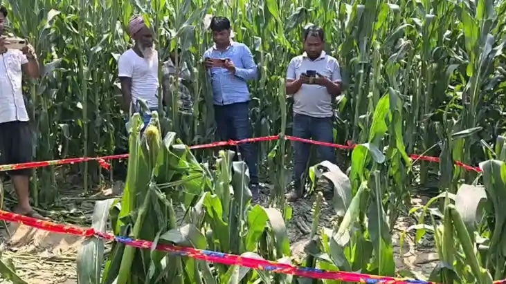 Katihar News : नशे की शिकायत करने पर 9 साल की मासूम की गला र