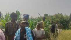 Katihar People in panic due to ferocious leopard