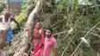 सहरसा में प्राकृति का कहर : पत्रकार के घर पर गिरा विशाल पेड़, घर की छत और दीवारें बुरी तरह क्षतिग्रस्त