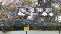 Patna Zoo Timing