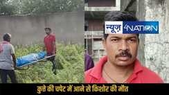 Aurangabad dog attack