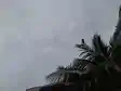 Bihar Weather 