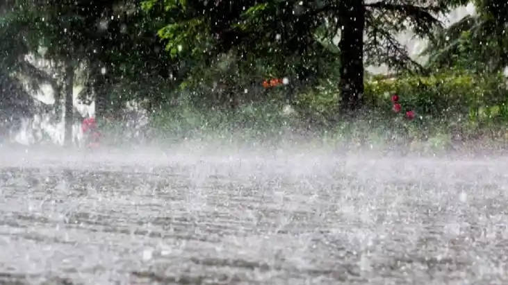 UP Weather:  सहारनपुर से लेकर बहराइच तक यूपी के इन 45 जिलों 