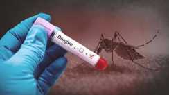 Dengue Surge in Patna 18 Cases in 5 Days Hotspots Identified