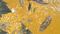 Dead Lizard Found in Midday Meal 31 Muzaffarpur Kids Ate It