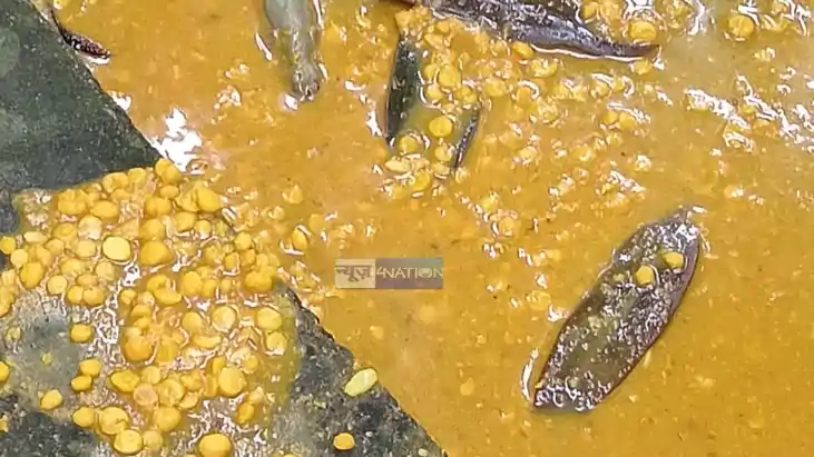 Dead Lizard Found in Midday Meal 31 Muzaffarpur Kids Ate It