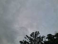 Bihar Weather 