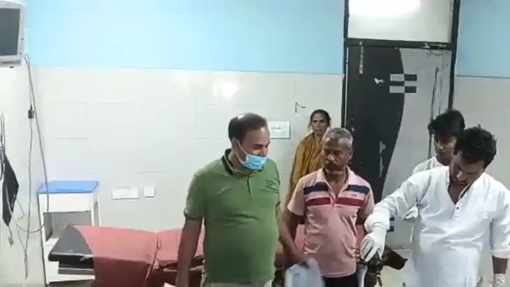 Bihar News : भोजपुर में मड़ई में लगी भीषण आग, बकरी के बच्चों