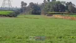 Bihar land registration