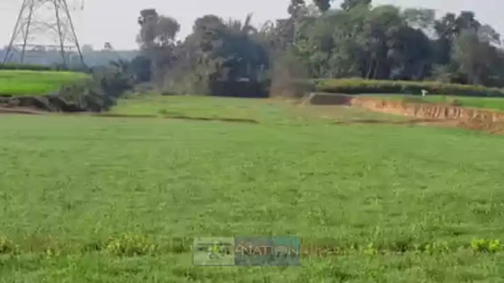Bihar land registration Bihar land registration