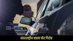 Sitamarhi vehicle theft gang