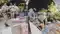 Bakhtiyarpur police Tea Vendor Beat Up