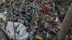 Katihar Expired Medicines Scandal at Sadar Hospital