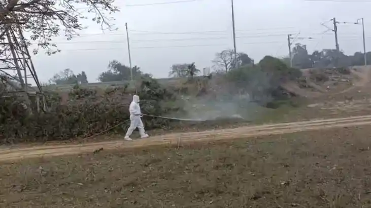 Bird Flu Alert in Bihar 150 Crows Dead 10 km High Alert Zone