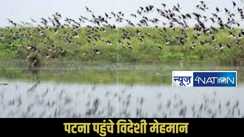 Patna migratory birds