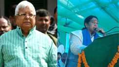 राजद एमएलसी 