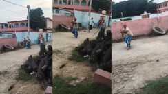 Bihar Crime : खगड़िया में आपसी विवाद में ताबड़तोड़ चली गोलियां, युवक के गिड़गिड़ाने पर दबंगों ने बख्शी जान, पैर में गोली मारकर किया जख्मी 