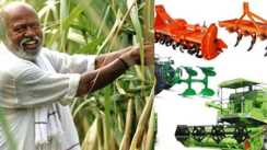 गन्ना किसानों को बड़ी सौगात: सत्यापित बीज पर 260 प्रति क्विंटल अनुदान, कृषि यंत्रों के लिए स्थापित होंगे 80 बैंक