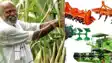 गन्ना किसानों को बड़ी सौगात: सत्यापित बीज पर 260 प्रति क्विंटल अनुदान, कृषि यंत्रों के लिए स्थापित होंगे 80 बैंक