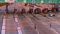 Bihar to Reintroduce Toll on State Highways and Bridges