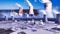 Bihar Energy Push Dedicated Feeders Nuclear Plant Study Buzz