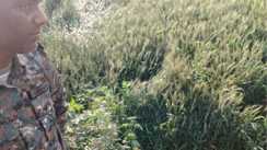 Muzaffarpur Bloodied body of a youth found in a field