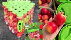 रॉकेट सेब