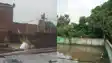 पटना के इस इलाके में बंदरों का आतंक : तीन महीने से सहमे ग्रामीण, महिलाओं और बच्चों का घर से निकलना दुश्वार