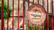 RBI Executive