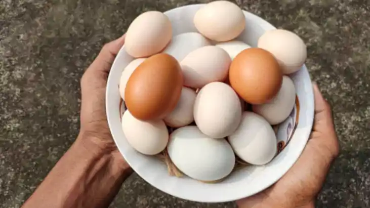 Fake Egg