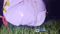 Mysterious balloons