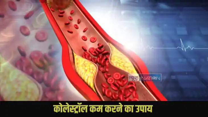 How To Reduce Cholesterol How To Reduce Cholesterol