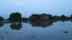 Saran Flood News