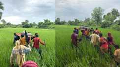 Wall Blocks Village Road Sick Man Carried Over Barrier in Bihar
