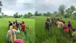 Wall Blocks Village Road Sick Man Carried Over Barrier in Bihar