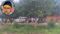 patna ranitalab nh139 road accident