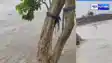 Bihar Flood