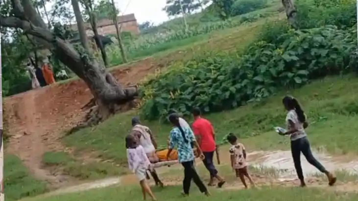 Bee Swarm Kills Banka Woman After Delayed Hospital Transport