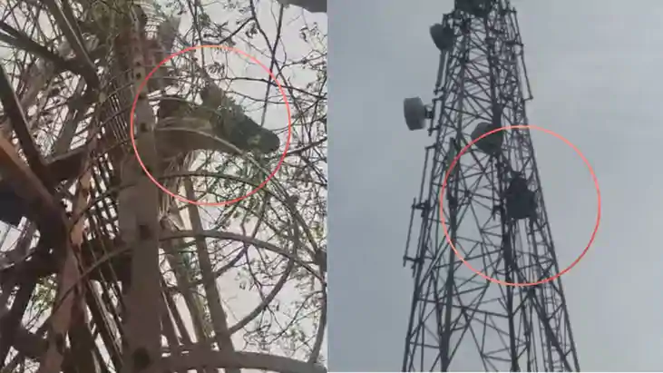 इंस्टाग्राम वाला प्यार, 80 फीट ऊंचा टावर और 3 घंटे का 'सुसाइ